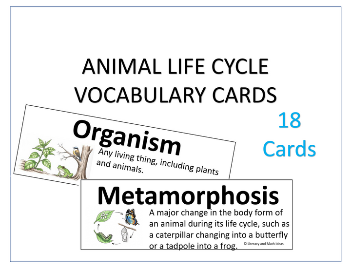 Animal Life Cycle & Adaptations Vocabulary Cards for Grades 3-5