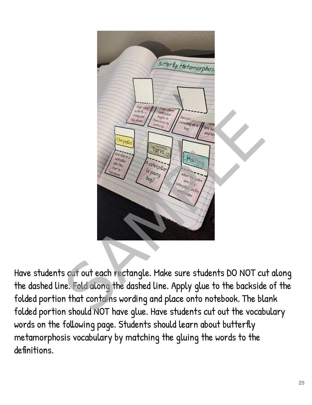 Metamorphosis Interactive Notebook: Butterfly & Frog Life Cycles