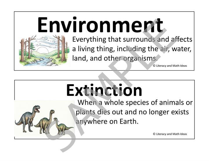 Animal and Plant Adaptations Vocabulary Cards & Bulletin Board Set