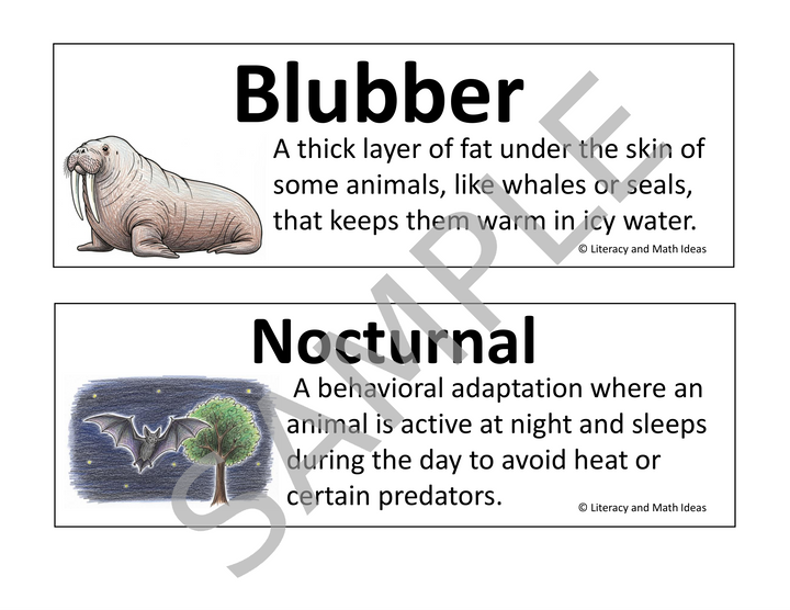 Animal and Plant Adaptations Vocabulary Cards & Bulletin Board Set