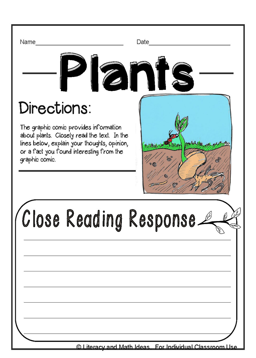 Plants Interactive Notebook