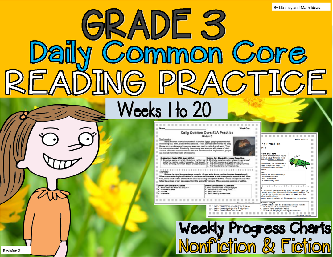 Grade 3 Daily Common Core Reading Practice Weeks 1-20