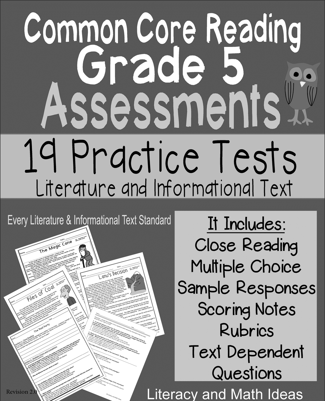 Grade 5 Common Core Reading Assessments (19 Assessments)