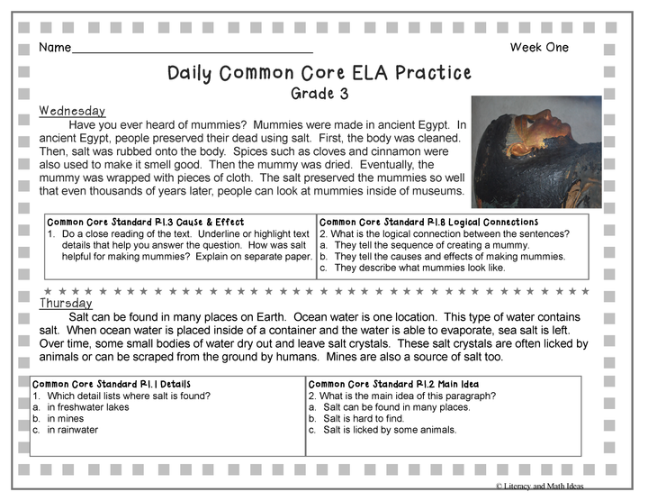 Grade 3 Daily Common Core Reading Practice Weeks 1-5