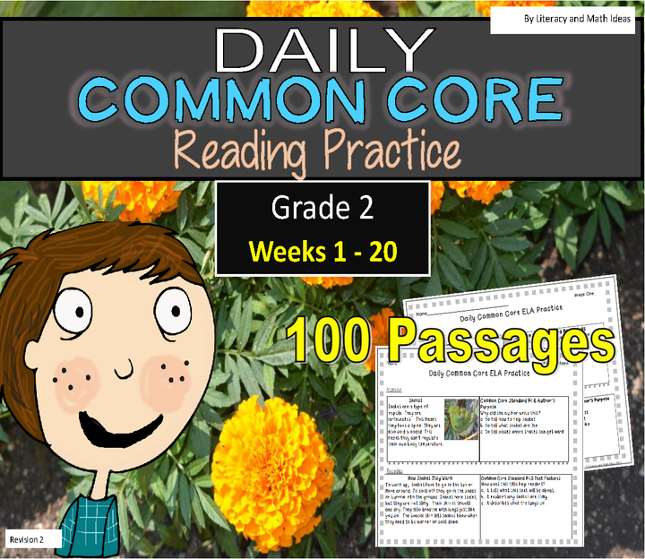 Grade 2 Daily Common Core Weeks 1-20