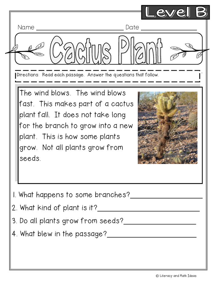 Guided Reading Nonfiction Passages Level B