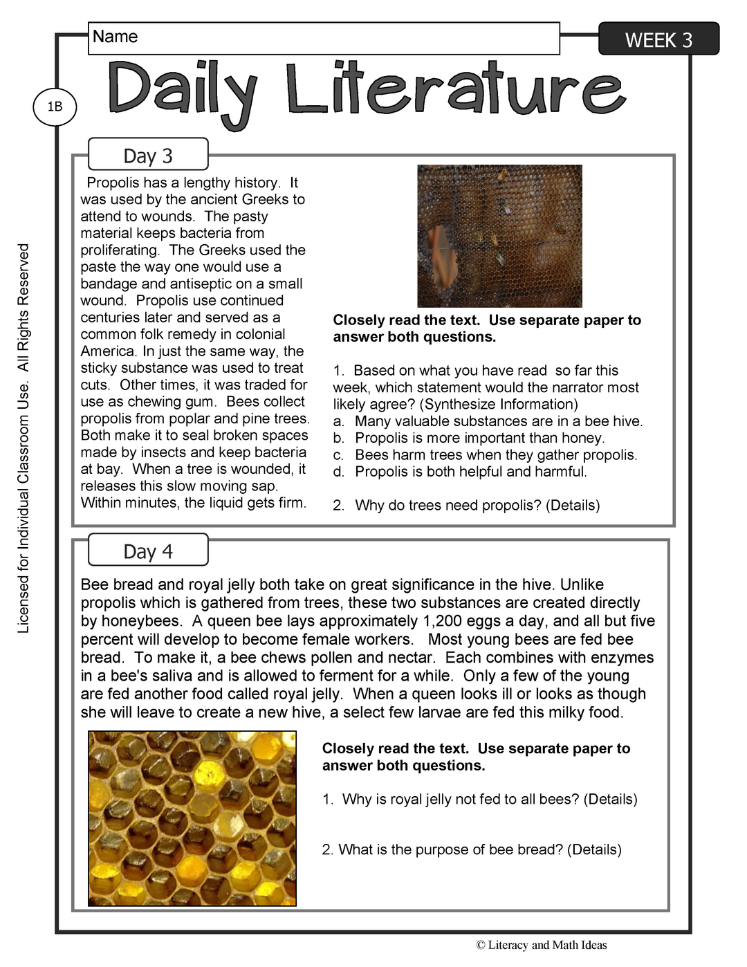 Differentiated Daily Literature Practice Grade 6 (Week 3)