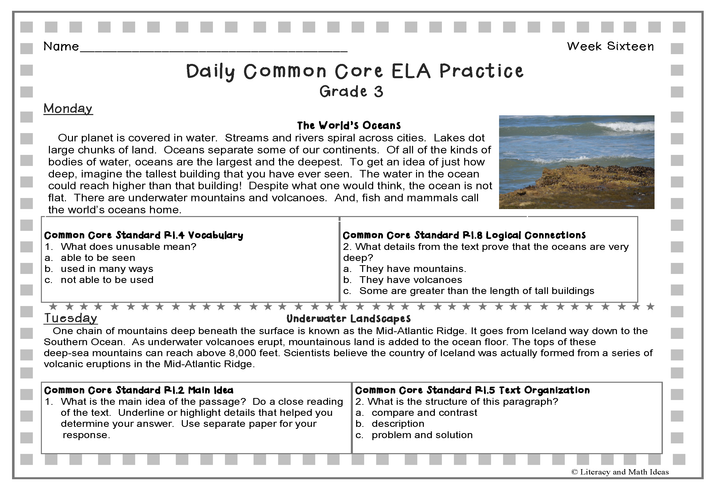 Grade 3 Daily Common Core Reading Practice Weeks 16-20