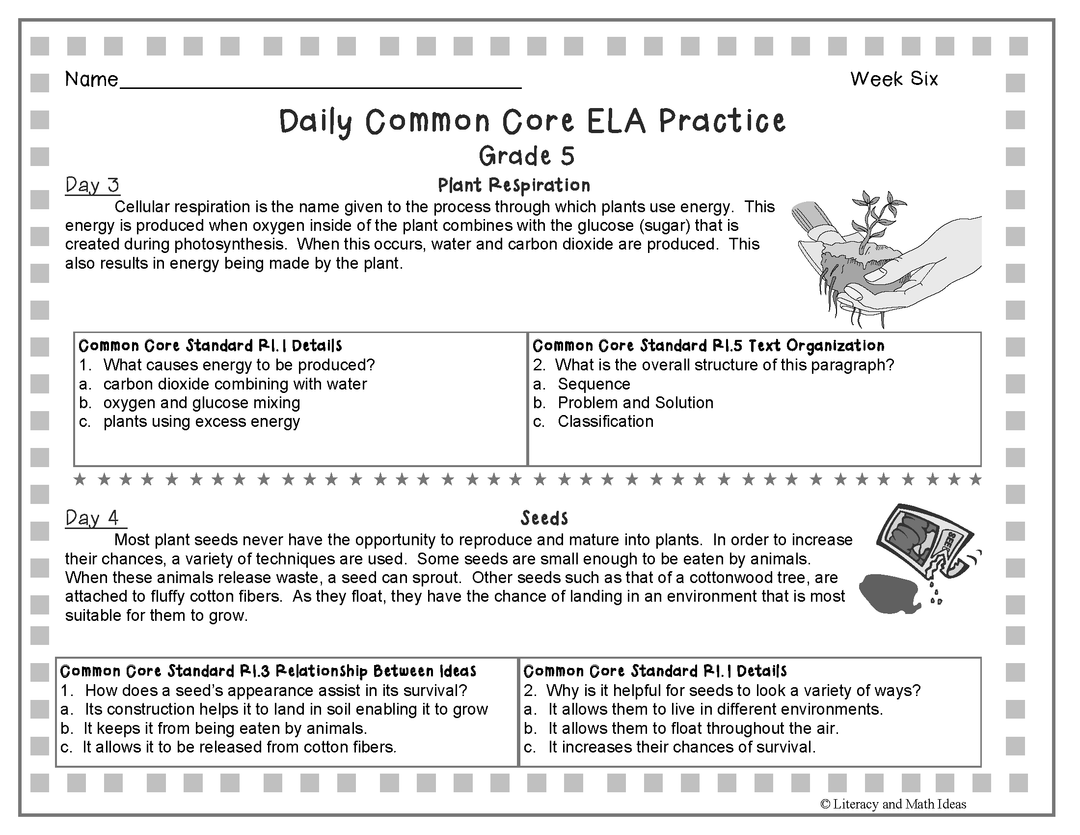 Grade 5 Daily Common Core Reading Practice Weeks 6-10