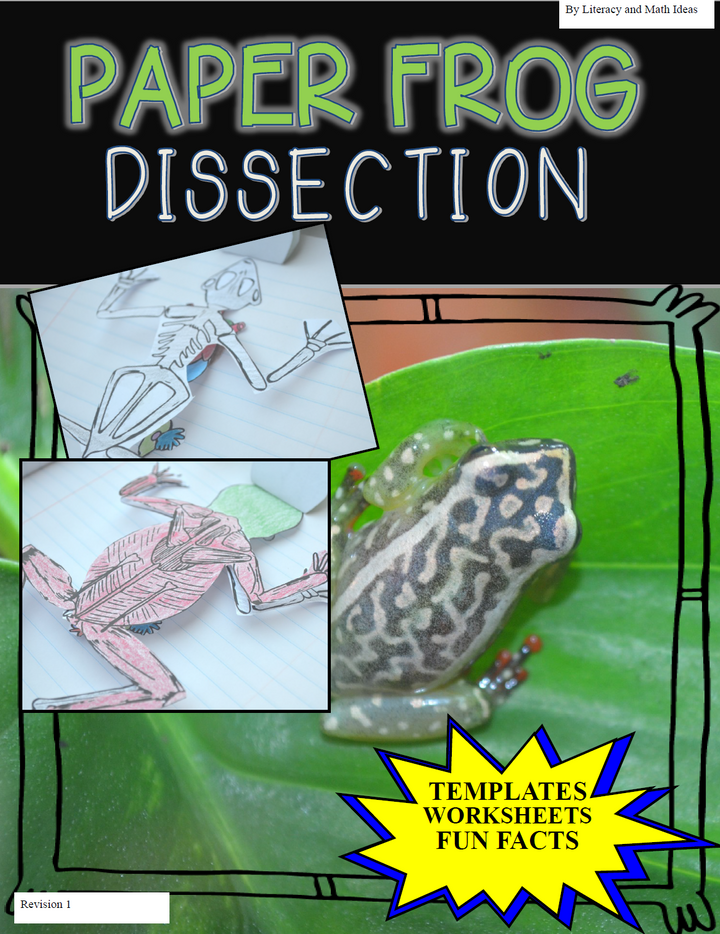 Paper Frog Dissection
