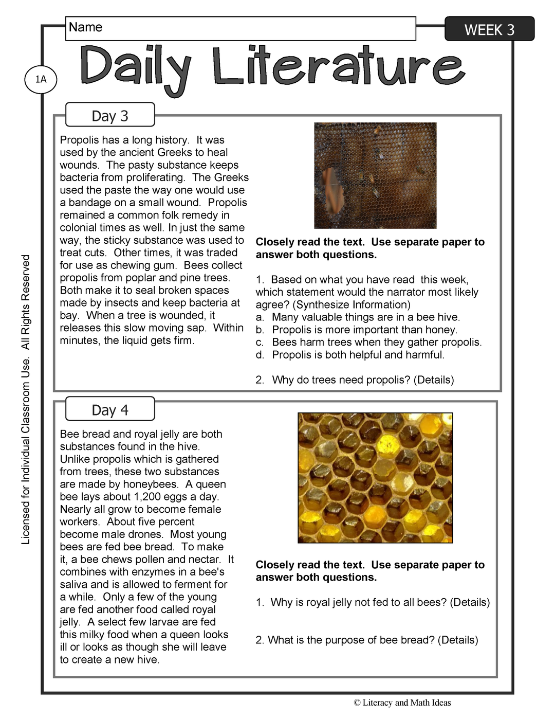 Differentiated Daily Literature Practice Grade 6 (Week 3) – Literacy and Math Ideas