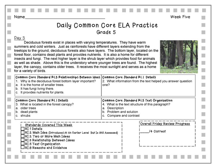 Grade 5 Daily Common Core Reading Practice Weeks 1-5