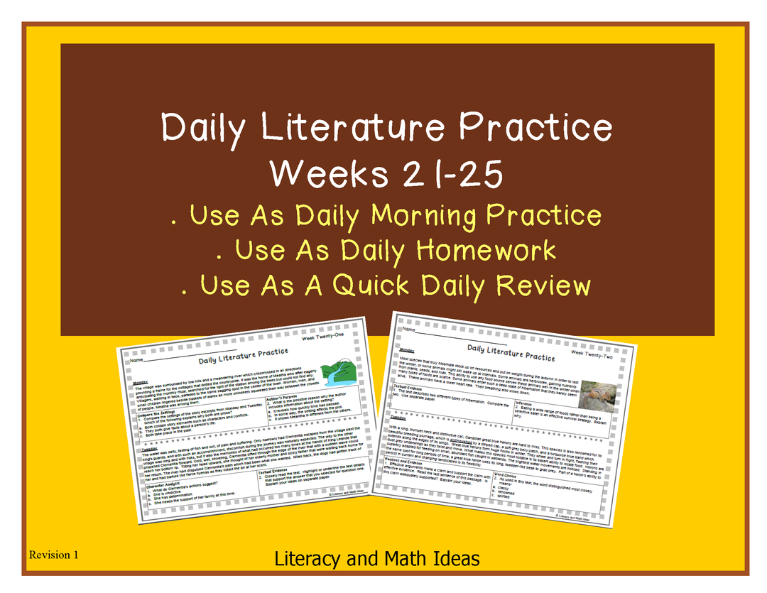Grade 8 Daily Literature Practice Weeks 21-25
