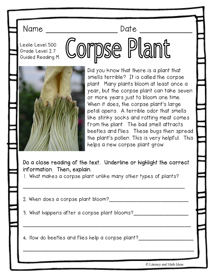 (Plants) Leveled Passages Guided Reading Levels L,M, N (Lexiles 450-560)