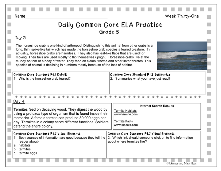 Grade 5 Daily Common Core Reading Practice Weeks 31-35