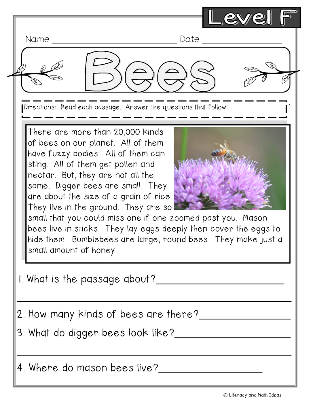 Guided Reading Nonfiction Passages Level F